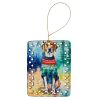 American English Coonhound Christmas Porcelain Ornament Christmas Tree Hanging Decorations for Home Christmas Holiday, Rectangle, Gift, Multicolor